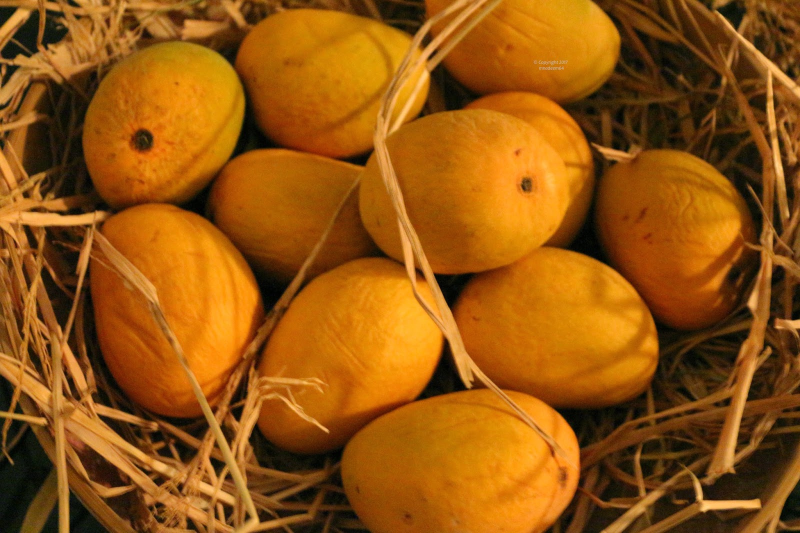 FAJRI mango