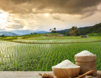 The Versatility and Quality of Rice: A Cornerstone Product by JK Marketing